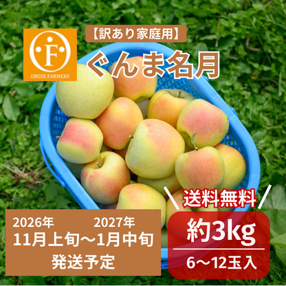 ぐんま名月（訳アリ家庭用）約3kg　【送料無料】