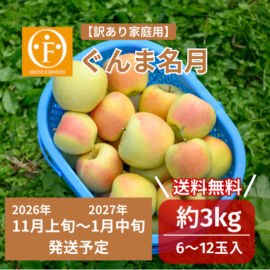 ぐんま名月（訳アリ家庭用）約3kg　【送料無料】