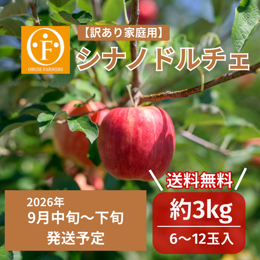 ＼先行予約／シナノドルチェ訳あり(家庭用）約3㎏【送料無料】