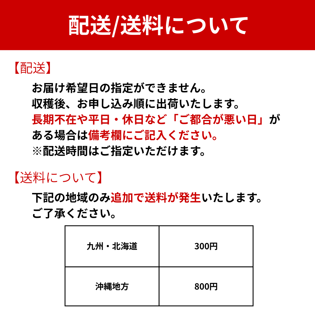 旬の生プルーン 約0.8kg【送料無料】