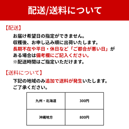 旬の生プルーン 約0.8kg【送料無料】