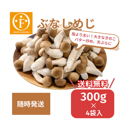小布施産　カット済み　ぶなしめじ300g 4袋【送料無料】