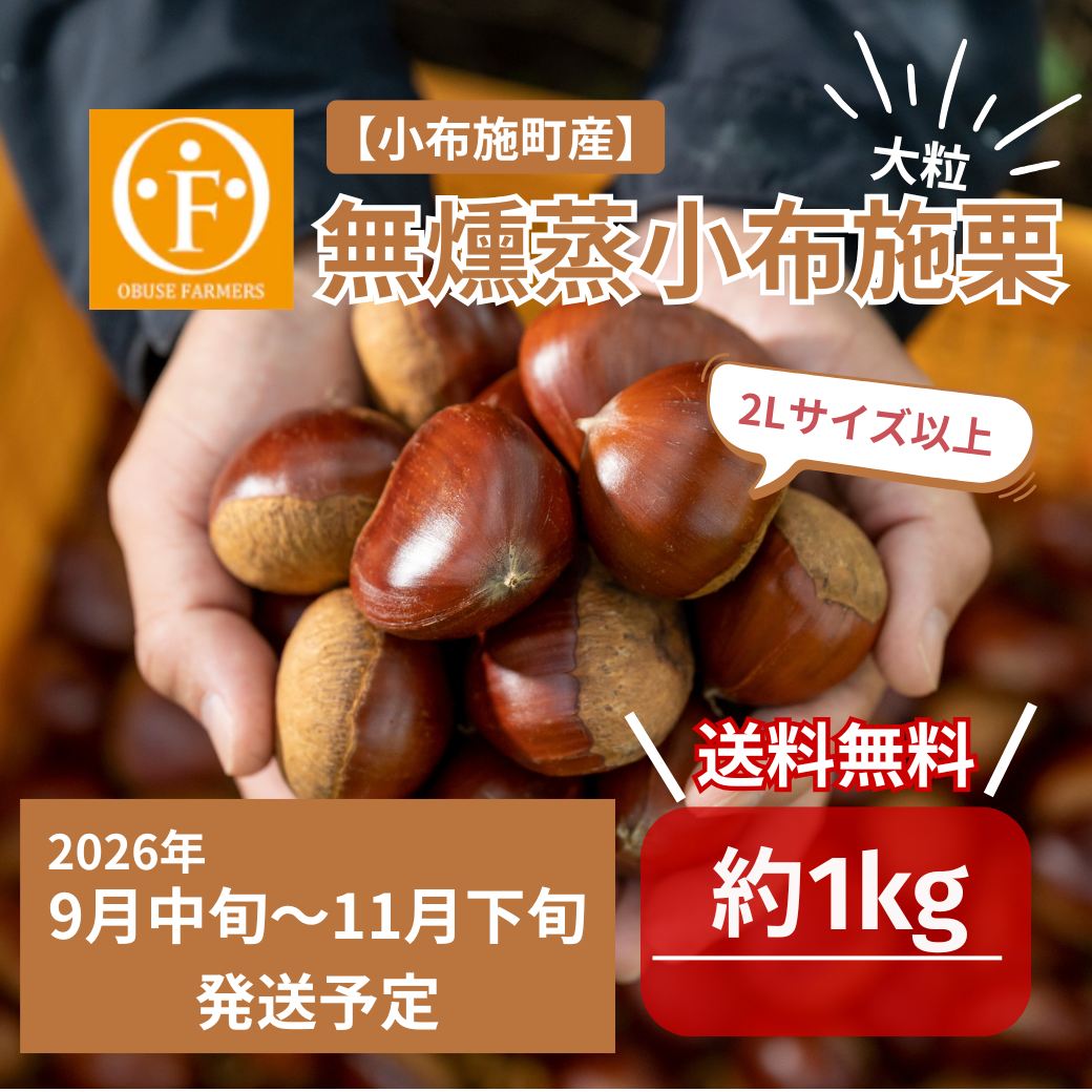 小布施町産　無燻蒸小布施栗 １kg　【送料無料】