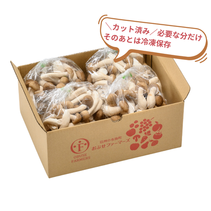小布施産　カット済み　ぶなしめじ300g 4袋【送料無料】