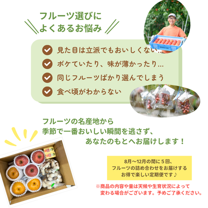 2026年旬の定期便【５回お届け】旬のフルーツをおいしくお得に食べ比べ♪