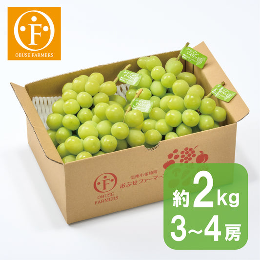 シャインマスカット  約2kg　【送料無料】