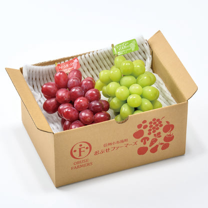 シャインマスカット＆クイーンルージュ®詰合せ　約1kg（各1房入）【送料無料】