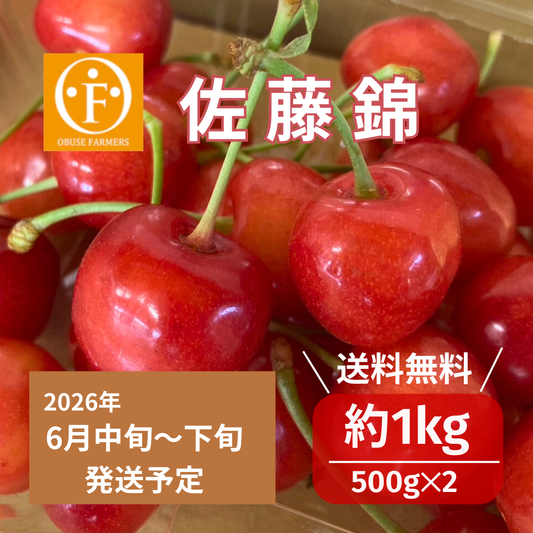 【数量限定】さくらんぼ　佐藤錦　約1kg【送料無料】