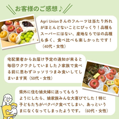 旬の定期便【５回お届け】旬のフルーツをおいしくお得に食べ比べ♪