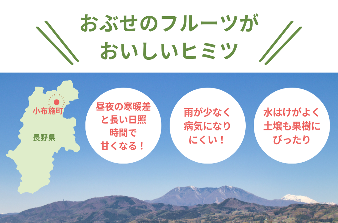 【送料無料】小布施の秋の味覚盛りだくさん！栗とりんごの詰合せセット