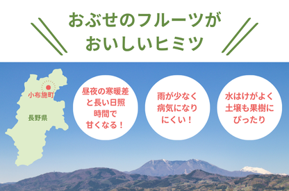 【送料無料】小布施の秋の味覚盛りだくさん！栗とりんごの詰合せセット