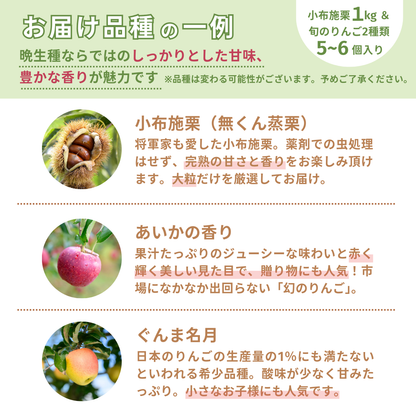 【送料無料】小布施の秋の味覚盛りだくさん！栗とりんごの詰合せセット