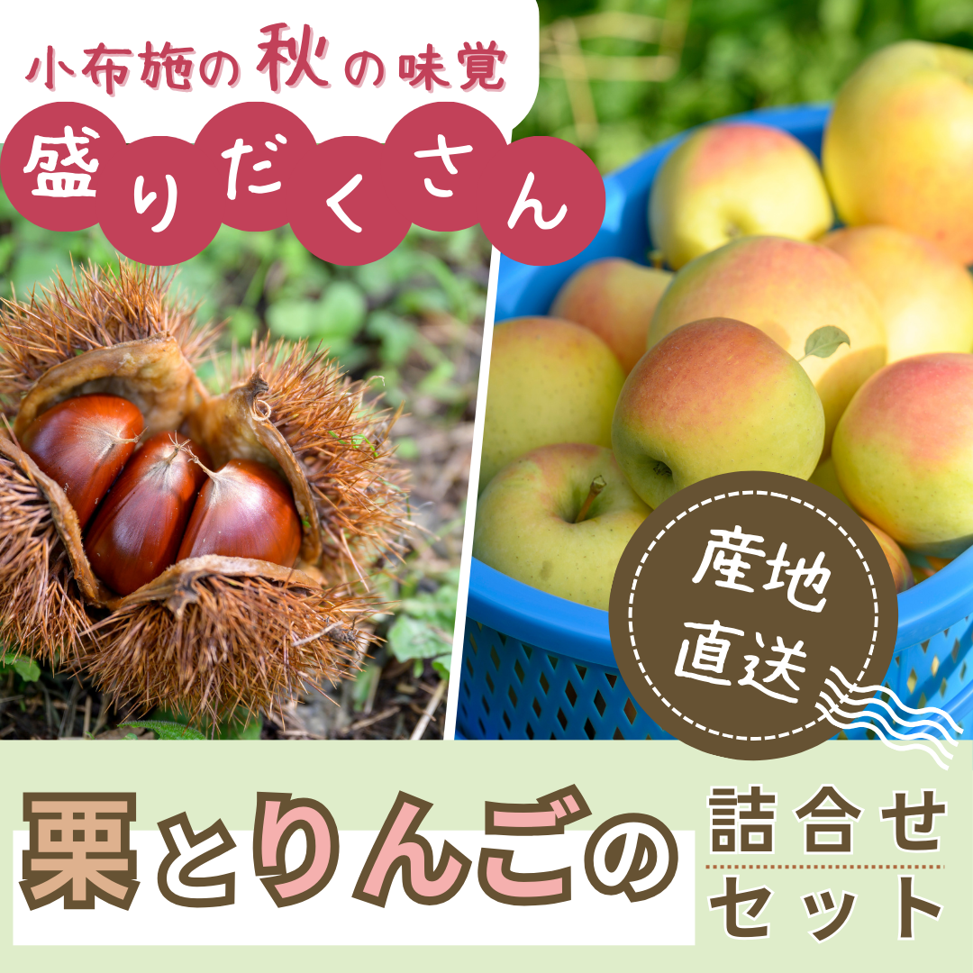 【送料無料】小布施の秋の味覚盛りだくさん！栗とりんごの詰合せセット