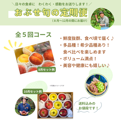 2026年旬の定期便【５回お届け】旬のフルーツをおいしくお得に食べ比べ♪
