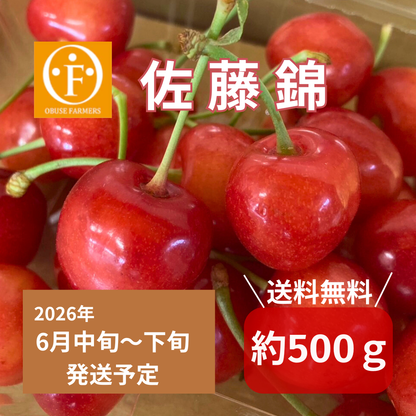 【数量限定】さくらんぼ　佐藤錦　約500g【送料無料】
