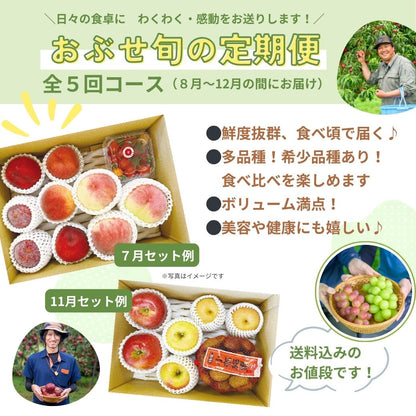 旬の定期便【５回お届け】旬のフルーツをおいしくお得に食べ比べ♪