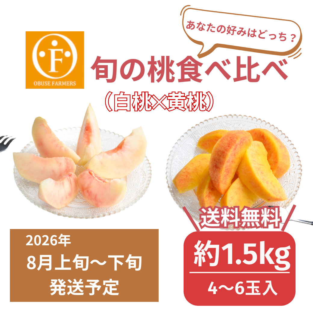 ＼先行予約／【贅沢】旬の桃食べ比べセット約1.5kg【送料無料】