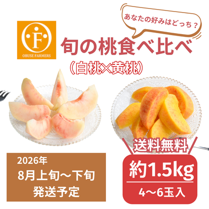 ＼先行予約／【贅沢】旬の桃食べ比べセット約1.5kg【送料無料】