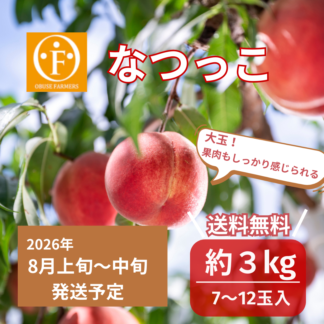 なつっこ（白桃）　約3kg【送料無料】