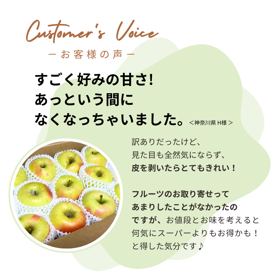ぐんま名月（訳アリ家庭用）約3kg　【送料無料】