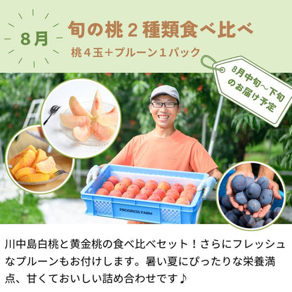 旬の定期便【５回お届け】旬のフルーツをおいしくお得に食べ比べ♪