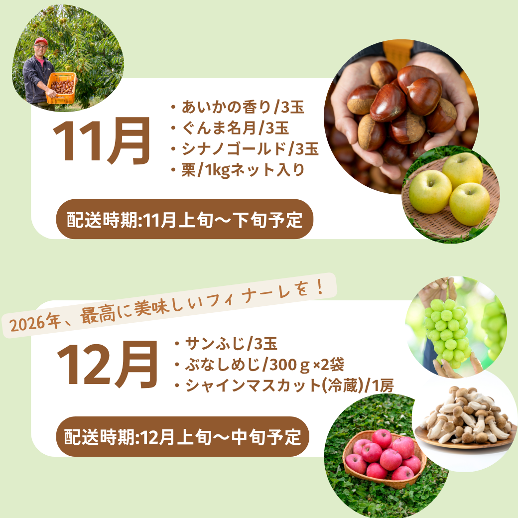 2026年旬の定期便【５回お届け】旬のフルーツをおいしくお得に食べ比べ♪