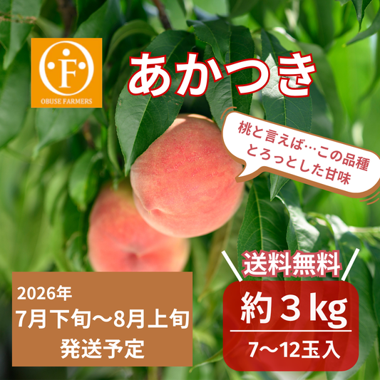 あかつき（白桃）　約3kg【送料無料】