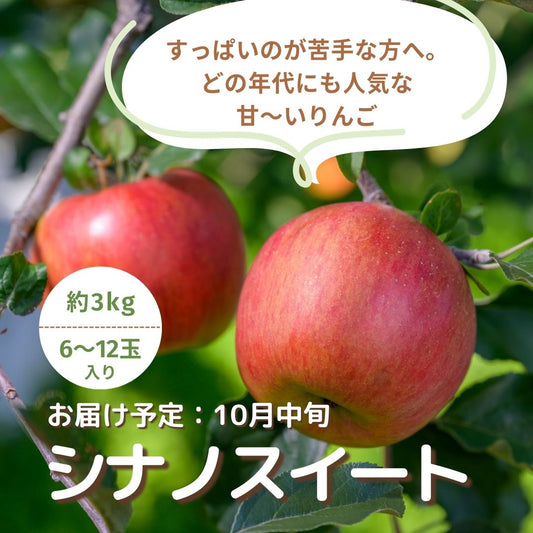 シナノスイート（訳あり家庭用）約3kg　【送料無料】