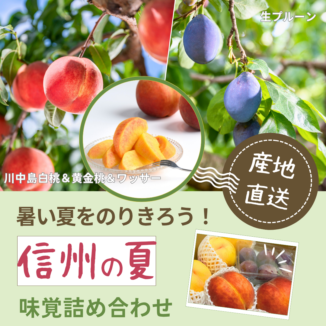 【送料無料・夏の詰め合わせセット】暑い夏を乗り切ろう！信州の夏を代表する味覚詰め合わせセット