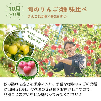 旬の定期便【５回お届け】旬のフルーツをおいしくお得に食べ比べ♪