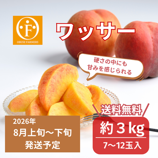 ワッサー　約3kg【送料無料】