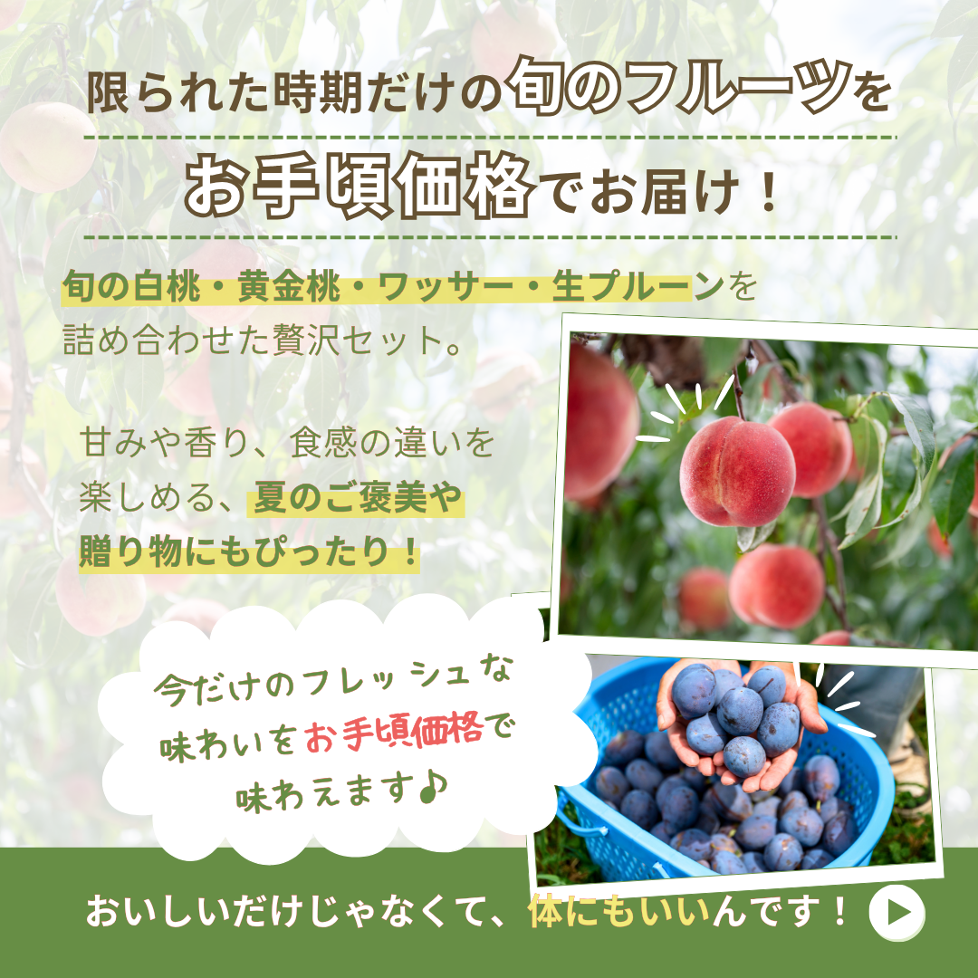 【送料無料・夏の詰め合わせセット】暑い夏を乗り切ろう！信州の夏を代表する味覚詰め合わせセット