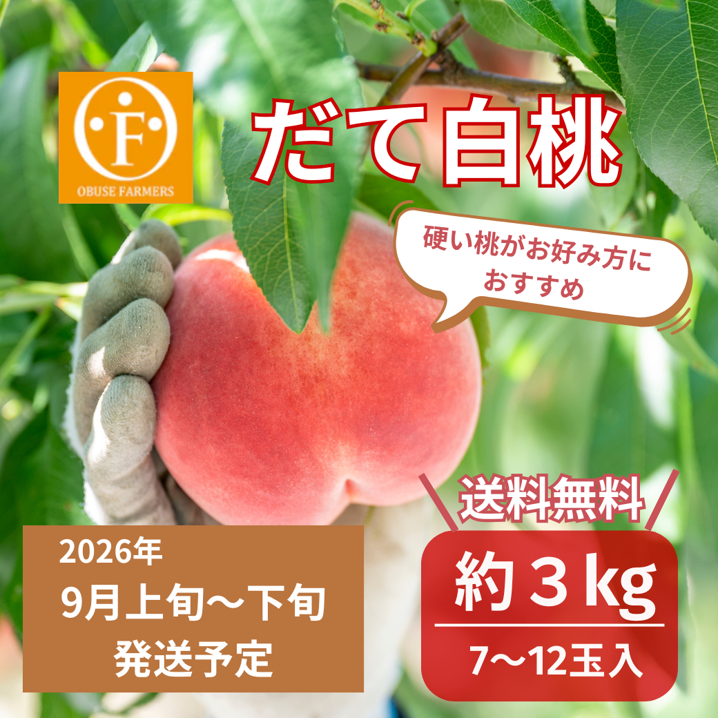 だて白桃 約3kg【送料無料】
