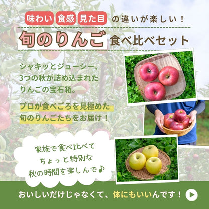【送料無料】旬のりんご３種食べ比べセット