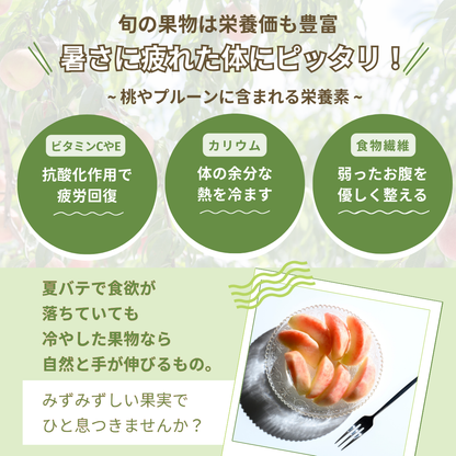 【送料無料・夏の詰め合わせセット】暑い夏を乗り切ろう！信州の夏を代表する味覚詰め合わせセット