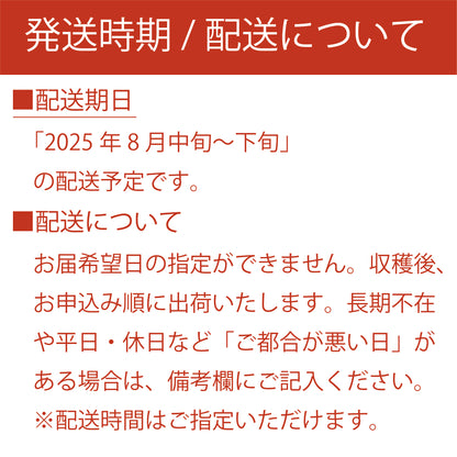 川中島白桃 約3kg