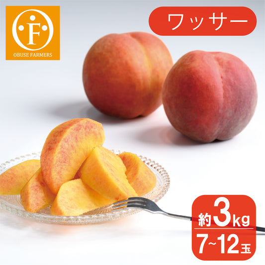 ワッサー　約3kg