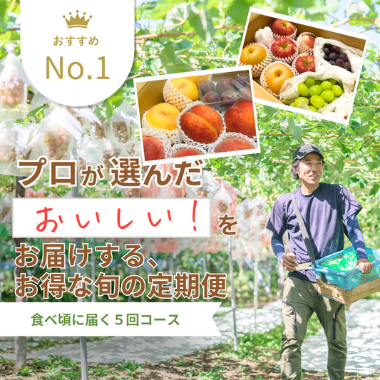旬の定期便【５回お届け】旬のフルーツをおいしくお得に食べ比べ♪