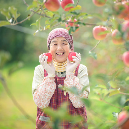 小布施町産グラニースミス（Granny Smith）約1.5kg　（6玉）