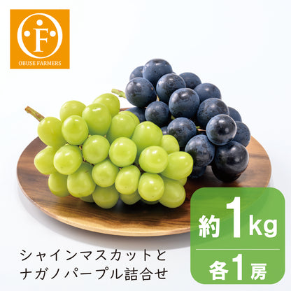 シャインマスカット＆ナガノパープル詰合せ　約1kg（各1房入）