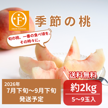 季節の桃　約2kg
