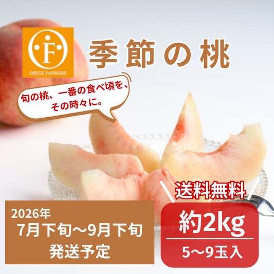 季節の桃　約2kg