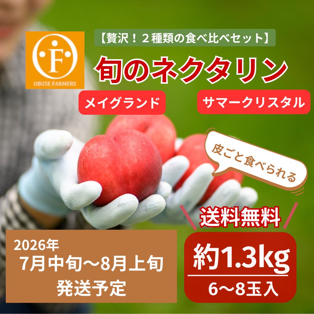 ＼先行予約／はじめてのネクタリン体験！旬のネクタリン食べ比べセット約1.3kg【送料無料】