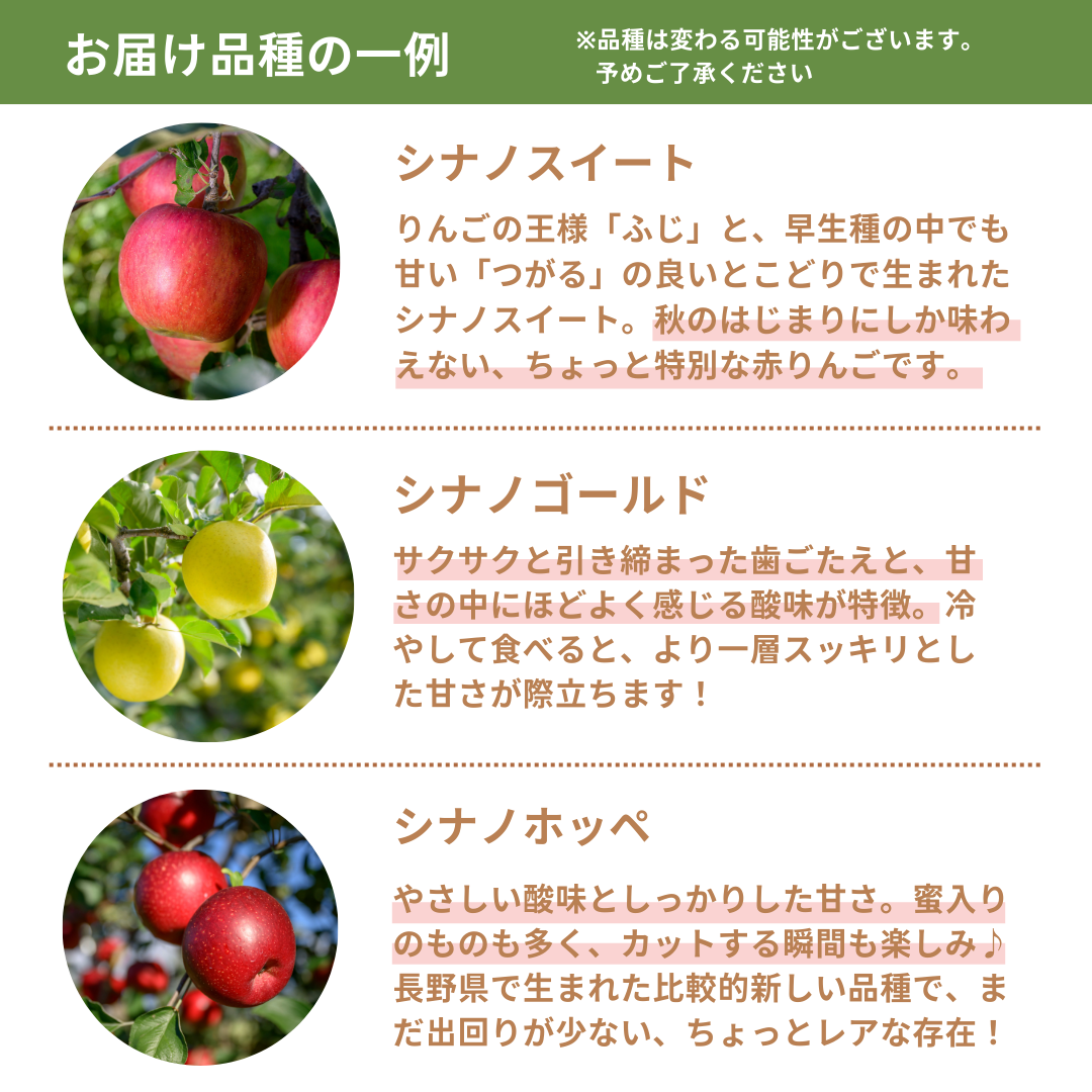 【送料無料】旬のりんご３種食べ比べセット