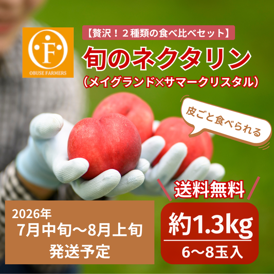 はじめてのネクタリン体験！旬のネクタリン食べ比べセット約1.3kg【送料無料】