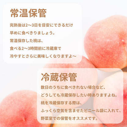季節の桃　約2kg