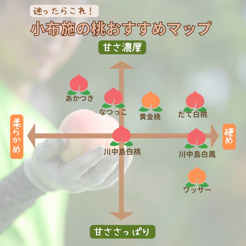 季節の桃　約2kg